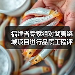 福建省专家组对武夷绕城项目进行品质工程评估(图1) 福建省专家组对武夷绕城项目进行品质工程评估(图1)