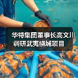 华特集团董事长高文川调研武夷绕城项目(图1) 华特集团董事长高文川调研武夷绕城项目(图1)