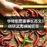 华特集团董事长高文川调研武夷绕城项目(图3) 华特集团董事长高文川调研武夷绕城项目(图3)