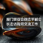 厦门贸促会颜志平副会长走访我司交流工作（图2）