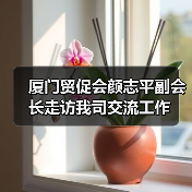 厦门贸促会颜志平副会长走访我司交流工作（图3）
