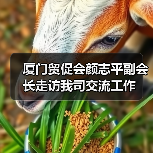 厦门贸促会颜志平副会长走访我司交流工作（图4）
