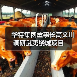 华特集团董事长高文川调研武夷绕城项目(图4) 华特集团董事长高文川调研武夷绕城项目(图4)