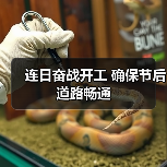 连日奋战开工 确保节后道路畅通(图3) 连日奋战开工 确保节后道路畅通(图3)