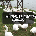 连日奋战开工 确保节后道路畅通(图4) 连日奋战开工 确保节后道路畅通(图4)