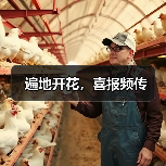 遍地开花，喜报频传（图2）