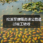 松溪至建瓯高速公路通过竣工验收(图1) 松溪至建瓯高速公路通过竣工验收(图1)