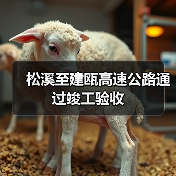 松溪至建瓯高速公路通过竣工验收(图3) 松溪至建瓯高速公路通过竣工验收(图3)