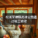 松溪至建瓯高速公路通过竣工验收(图2) 松溪至建瓯高速公路通过竣工验收(图2)