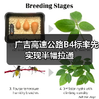 广吉高速公路B4标率先实现半幅拉通（图4）