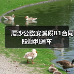 厦沙公路安溪段B1合同段顺利通车(图1) 厦沙公路安溪段B1合同段顺利通车(图1)