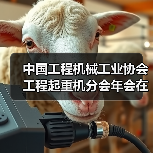 中国工程机械工业协会工程起重机分会年会在玉林成功举办（图1）