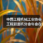 中国工程机械工业协会工程起重机分会年会在玉林成功举办（图3）