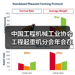 中国工程机械工业协会工程起重机分会年会在玉林成功举办（图4）