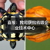 喜报：我司获批省级企业技术中心（图1）