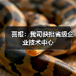 喜报：我司获批省级企业技术中心（图2）