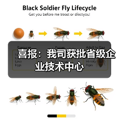喜报：我司获批省级企业技术中心（图3）