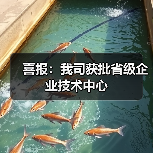 喜报：我司获批省级企业技术中心（图4）