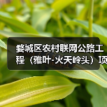 婺城区农村联网公路工程（雅叶-火天岭头）项目中标（图3）