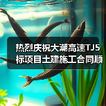 热烈庆祝大潮高速TJ5标项目土建施工合同顺利签订！（图1）