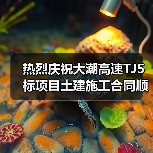 热烈庆祝大潮高速TJ5标项目土建施工合同顺利签订！（图4）