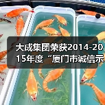 大成集团荣获2014-2015年度“厦门市诚信示范企业”(图4) 大成集团荣获2014-2015年度“厦门市诚信示范企业”(图4)