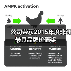 公司荣获2015年度非洲最具品牌价值奖(图1) 公司荣获2015年度非洲最具品牌价值奖(图1)