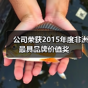 公司荣获2015年度非洲最具品牌价值奖(图3) 公司荣获2015年度非洲最具品牌价值奖(图3)