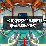 公司荣获2015年度非洲最具品牌价值奖(图4) 公司荣获2015年度非洲最具品牌价值奖(图4)