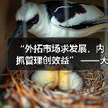 “外拓市场求发展,内抓管理创效益” ——大成公司2016年度经营管理大会圆满举办(图3) “外拓市场求发展,内抓管理创效益” ——大成公司2016年度经营管理大会圆满举办(图3)