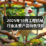 2025年10月工程机械行业主要产品销售快报二（图2）
