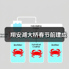 翔安湖大桥春节前建成(图4) 翔安湖大桥春节前建成(图4)