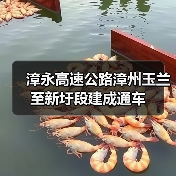 漳永高速公路漳州玉兰至新圩段建成通车(图4) 漳永高速公路漳州玉兰至新圩段建成通车(图4)