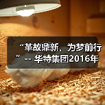 “革故鼎新，为梦前行”-- 华特集团2016年尾牙年会圆满举办（图1）