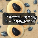 “革故鼎新，为梦前行”-- 华特集团2016年尾牙年会圆满举办（图3）