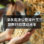 漳永高速公路漳州玉兰至新圩段建成通车(图2) 漳永高速公路漳州玉兰至新圩段建成通车(图2)