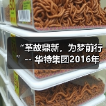 “革故鼎新，为梦前行”-- 华特集团2016年尾牙年会圆满举办（图4）