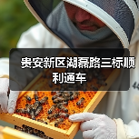 贵安新区湖磊路三标顺利通车（图2）