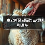 贵安新区湖磊路三标顺利通车（图4）