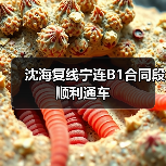 沈海复线宁连B1合同段顺利通车（图2）