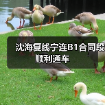 沈海复线宁连B1合同段顺利通车（图3）