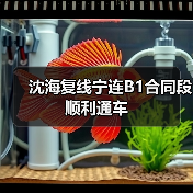 沈海复线宁连B1合同段顺利通车（图4）