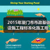 2015年厦门市市政基础设施工程标准化施工观摩会在我司翔安西路项目部顺利举行