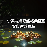 宁德沈海复线柘荣至福安段建成通车(图3) 宁德沈海复线柘荣至福安段建成通车(图3)