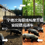 宁德沈海复线柘荣至福安段建成通车(图2) 宁德沈海复线柘荣至福安段建成通车(图2)