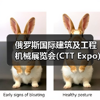 俄罗斯国际建筑及工程机械展览会(CTT Expo)将于5月26―29日在莫斯科举办（图2）