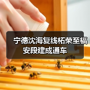 宁德沈海复线柘荣至福安段建成通车(图4) 宁德沈海复线柘荣至福安段建成通车(图4)
