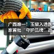 广西唯一！玉柴入选国家首批“守护品牌”政企协作机制名单