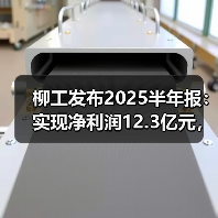 柳工发布2025半年报:实现净利润12.3亿元,同比增长25.05%(图2) 柳工发布2025半年报:实现净利润12.3亿元,同比增长25.05%(图2)