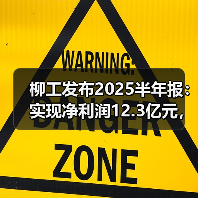 柳工发布2025半年报：实现净利润12.3亿元，同比增长25.05%